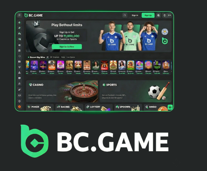 BC.Game Casino The Future of Online Gaming BC.Game Casino The Future of Online Gaming